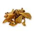 Dried Mango