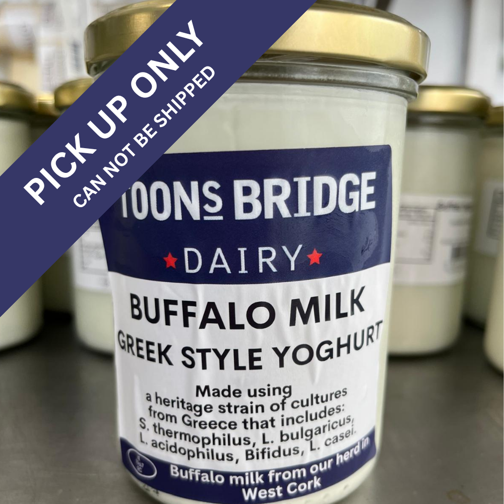 Buffalo Milk Yoghurt